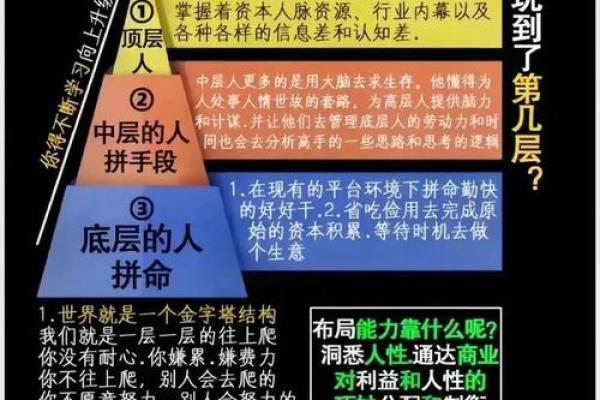 沙金命与其它命局的最佳搭配，探索命理奥秘！