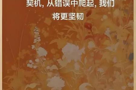 拿命换来的底气：勇敢面对生活的挑战与信念