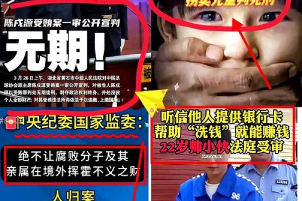 揭露骗子小偷的真实面目：城市中的阴影与斗争