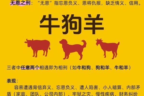 男命丑戌相刑解密：命理中的冲突与转机