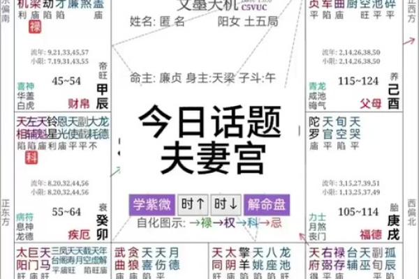 揭秘夫妻宫：解析夫妻宫属什么命与命理的巧妙结合