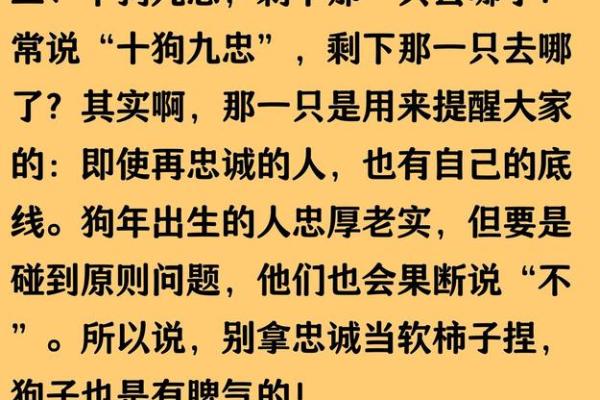 九月出生属狗之人：命运的独特轨迹与生活的深刻启示