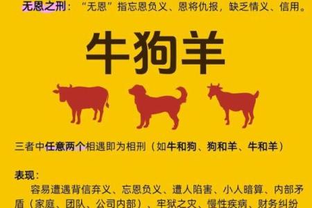 男命丑戌相刑解密：命理中的冲突与转机