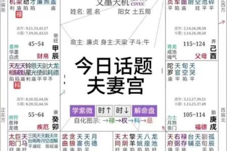 揭秘夫妻宫：解析夫妻宫属什么命与命理的巧妙结合
