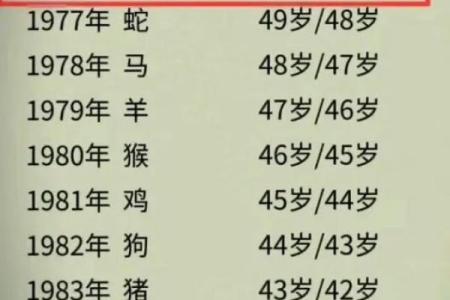 龙年出生者的命运解读：老天爷如何眷顾这生肖的人？