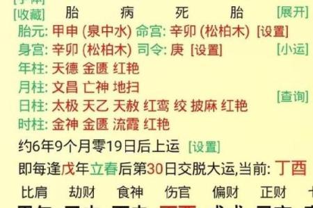 根据出生年份和命理查询的完整指南：解读你的命运之路