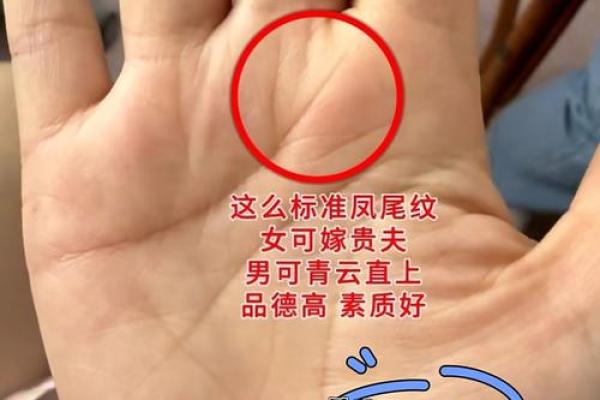 揭秘不好的手相，带你了解命运的暗示和转机！