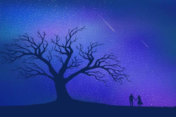 摩羯座与天蝎座：天生的默契与命运交织之旅