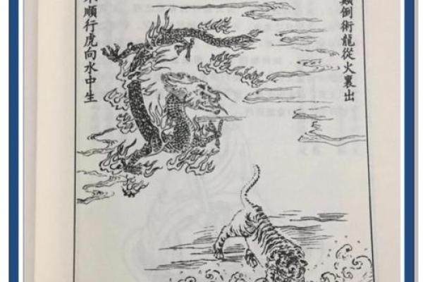 揭秘水虎命的五行特性与喜好，让你的生活更加和谐！