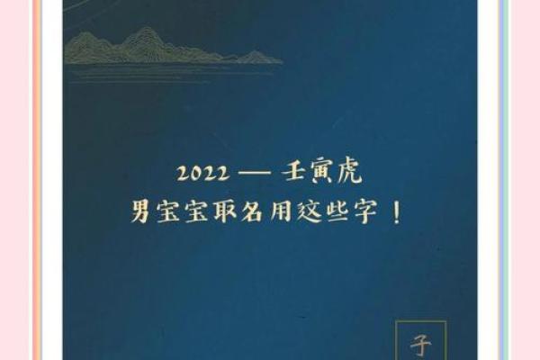 揭秘水虎命的五行特性与喜好，让你的生活更加和谐！