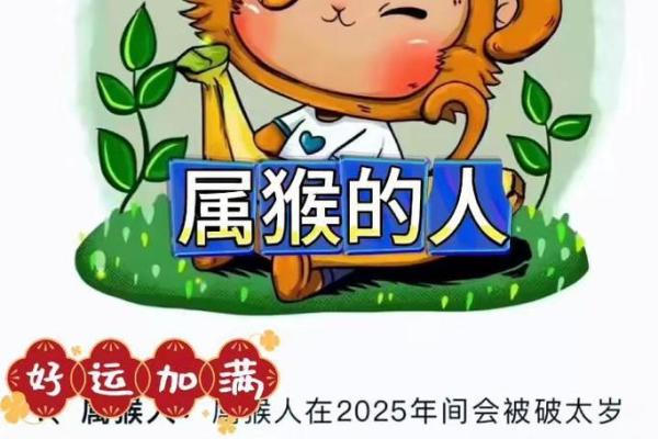 2004年属猴人的命运解析：灵动聪慧，人生的多重选择之路