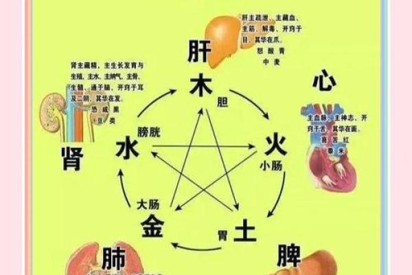 桑拓木命：探寻五行缺失的奥秘与补救之道