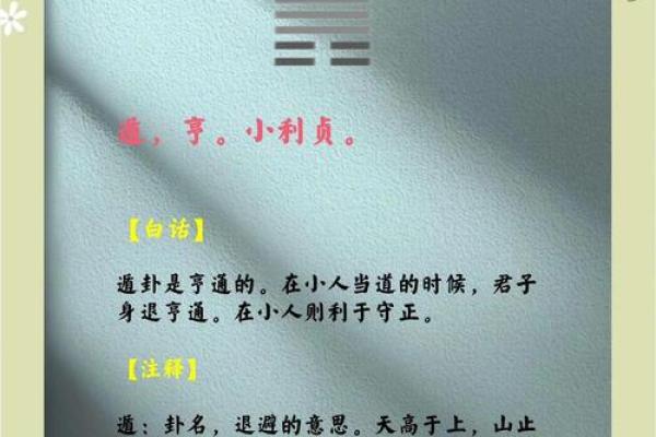 了解男命卦与女命卦：命理学中的天地之道与性别之分