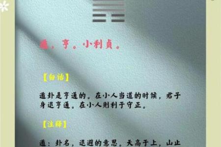 了解男命卦与女命卦：命理学中的天地之道与性别之分