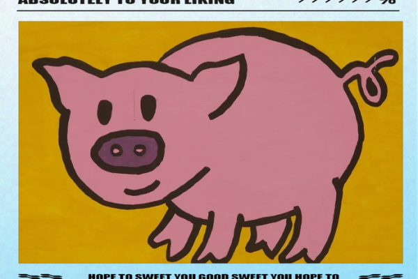 1995年属猪的命运解析：探寻生活中的机遇与挑战