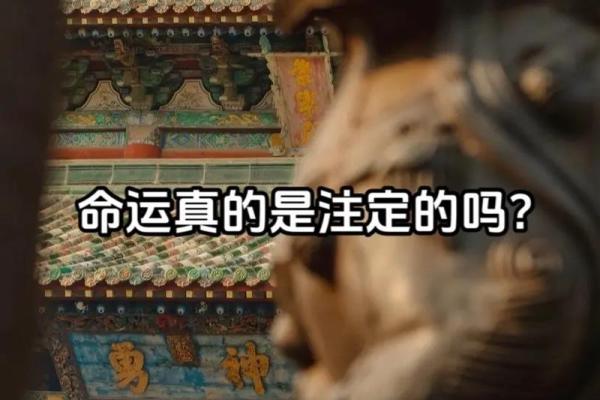 每个人的命运都是独一无二的，你的命里藏着哪些秘密？