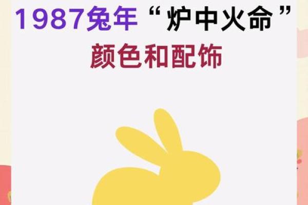 木命与水命适合的颜色探秘：让你的五行之美绽放光彩