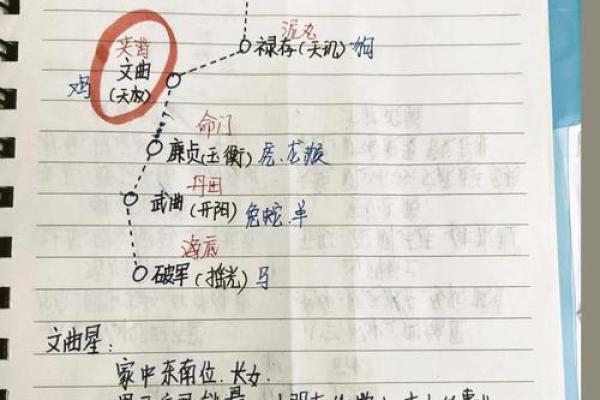 三颗米的谜语：探索生肖的奥秘与魅力