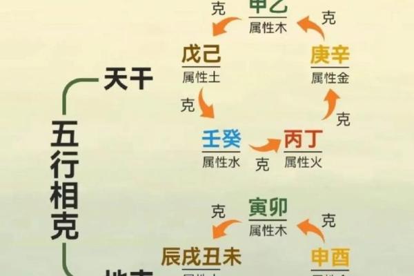 男孩命局喜土金的秘密：揭示五行与性格的深刻关系