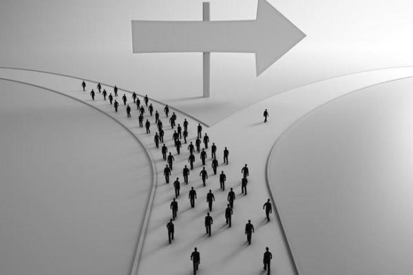 1994年属狗的人命运解析：风雨历程与幸运之道