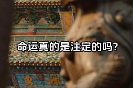 每个人的命运都是独一无二的，你的命里藏着哪些秘密？
