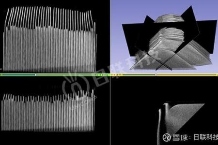 桑拓木命的奥秘：揭示人生的掌控之道与智慧之源