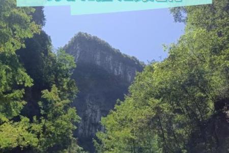 财富的奥秘：命与勤的微妙平衡