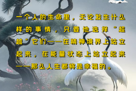 木命与土命结合之美，如何在生活中展现和谐魅力