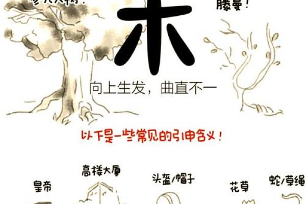 木命与金命的绝妙组合：打造人生的完美风水