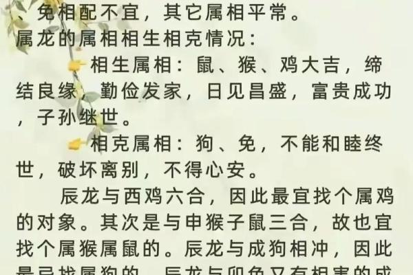 揭秘蛇与龙的命理关系，让你了解它们的命运与性格