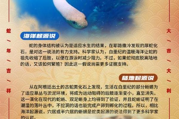 揭秘蛇与龙的命理关系，让你了解它们的命运与性格