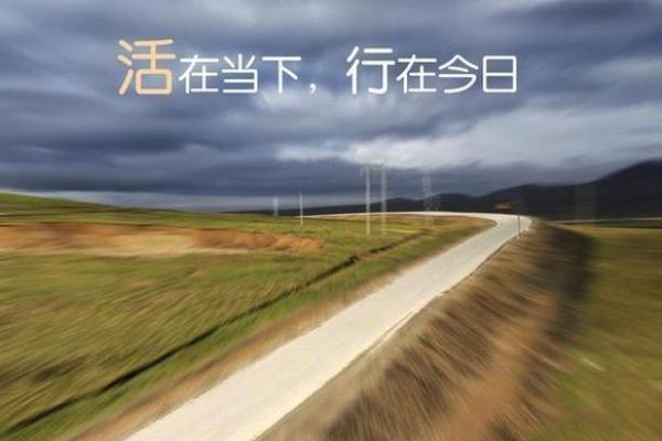 揭秘食伤命格：勇敢生存与蓬勃创造的命理之路