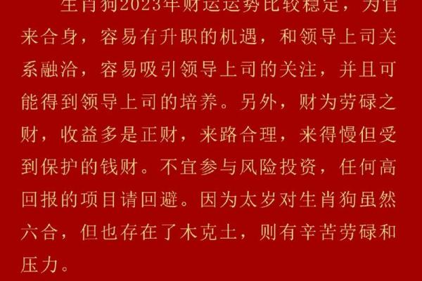 2023年属狗人运势解析：年龄与命运的深度剖析