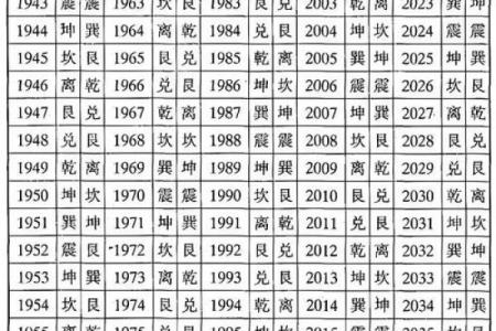 东四命与西四命的神秘世界：揭开命理之谜