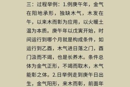 揭秘东四命与西四命：命理中不可不知的奥秘