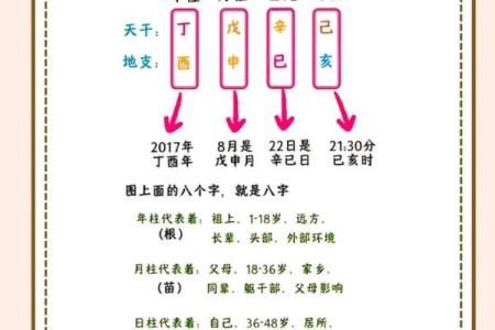 解析八字：掌握无小三命格的秘密与特征
