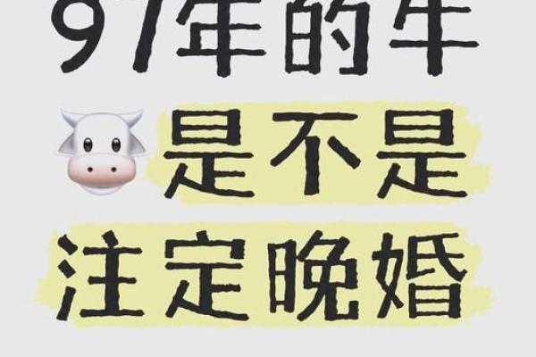 揭秘1997年属牛人的命运与性格特征！