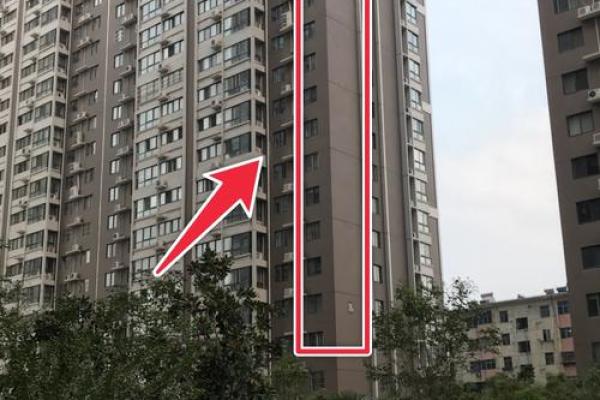 桑柘木命的人忌讳的颜色与生活风水探讨