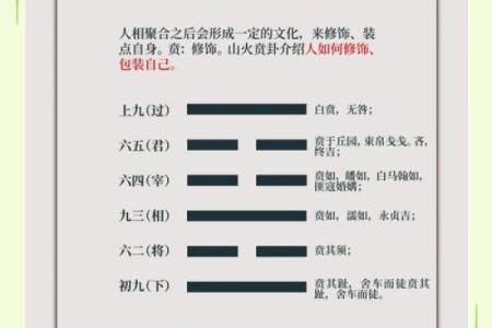 揭秘山头火命的最佳配命，助你运势如虹！