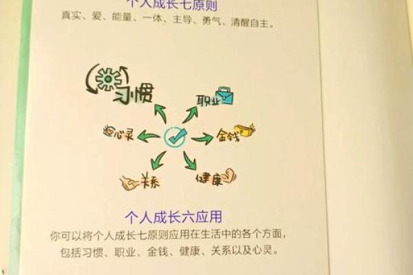 1980年出生的人命运解析：走向光明的智慧之路