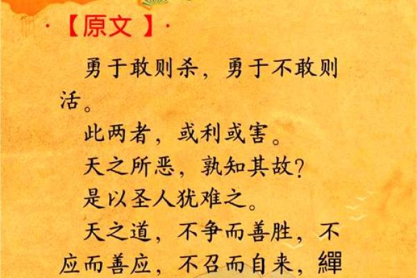 理解日支与月支相合的秘密：命理中的天人合一之道