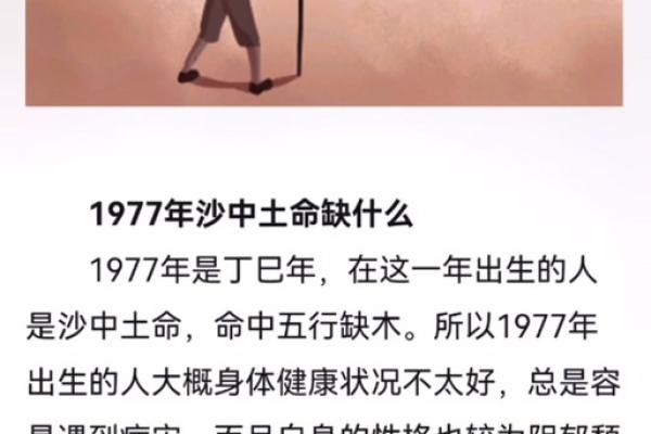 沙中土命如何选择适合的生意，助力成功之路！