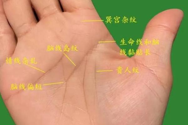 命格女人旺夫体质的秘密，揭示成功婚姻的关键！