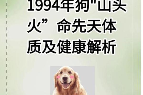 山头火命人喜用哪些元素与事业发展的探讨