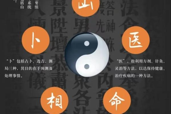 山头火命人喜用哪些元素与事业发展的探讨