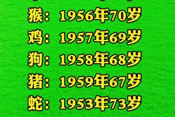 72年出生的朋友：你的命运与生肖的秘密探究