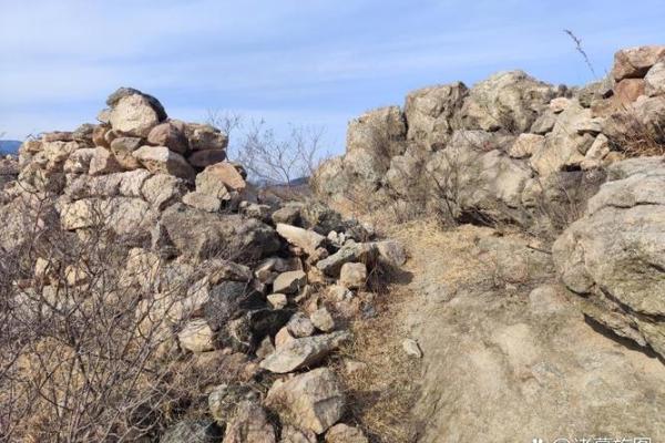 揭秘石榴木命：深探其特征与命理智慧