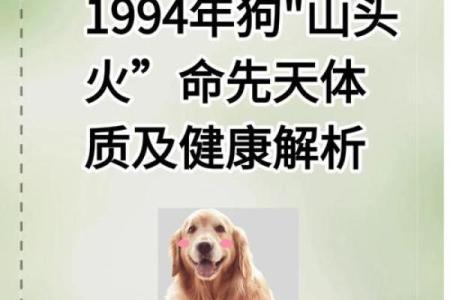 山头火命人喜用哪些元素与事业发展的探讨