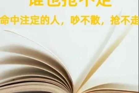 《拼了命让你赢：为爱而战的真实情感》