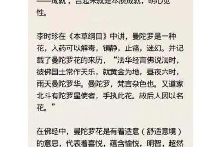 解密天罗命：命理中的神秘象征与人生启示